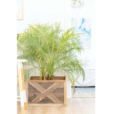 Plant and Tree Box Made of Real Wood | Farmhouse Plant and Tree Box