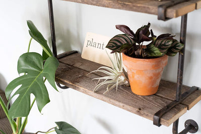 BarnwoodUSA Rustic Wooden Shelf For Pots And Plants